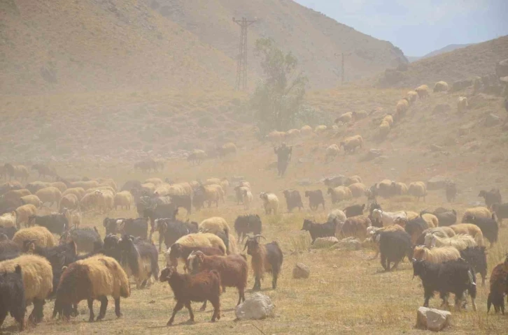 Göçerler son demlerini yaşıyor
