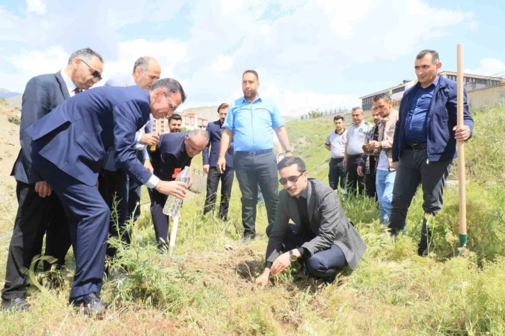 Hakkari’de "Dünya Tütünsüz Günü’nde fidan dikildi
