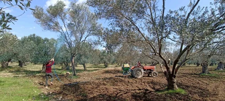 ’Halkalı leke hastalığı’ için ikinci ilaçlama uyarısı
