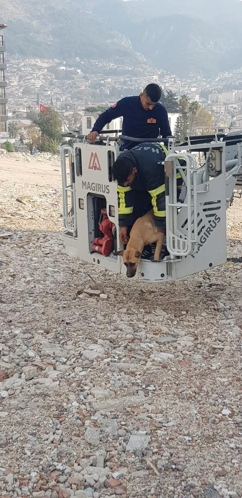 Hasarlı binada mahsur kalan köpek kurtarıldı
