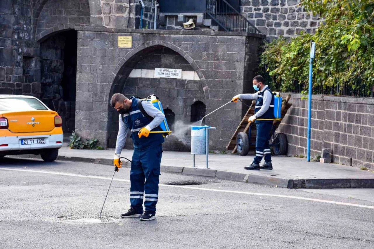 Haşerelere karşı ilaçlama çalışmaları sürüyor
