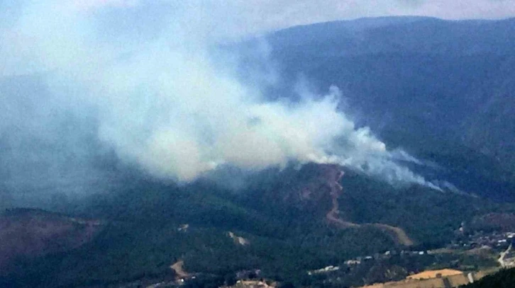 Hatay’da orman yangını
