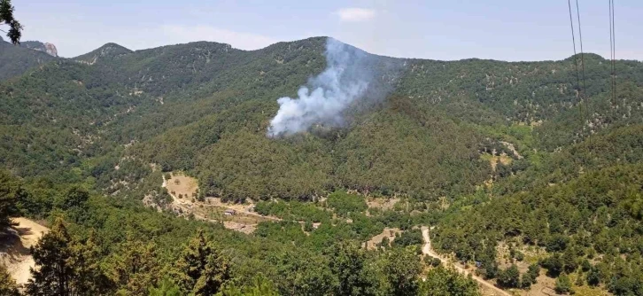 Hatay’da orman yangını
