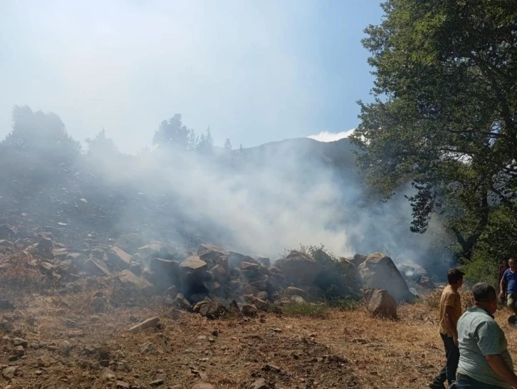 Hatay’daki orman yangını ekiplerin müdahalesiyle kontrol altına alındı
