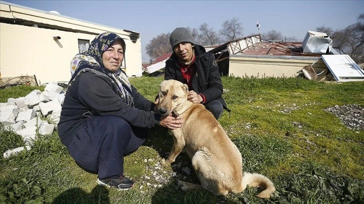 Hataylı Genco ailesini deprem gecesi köpekleri 