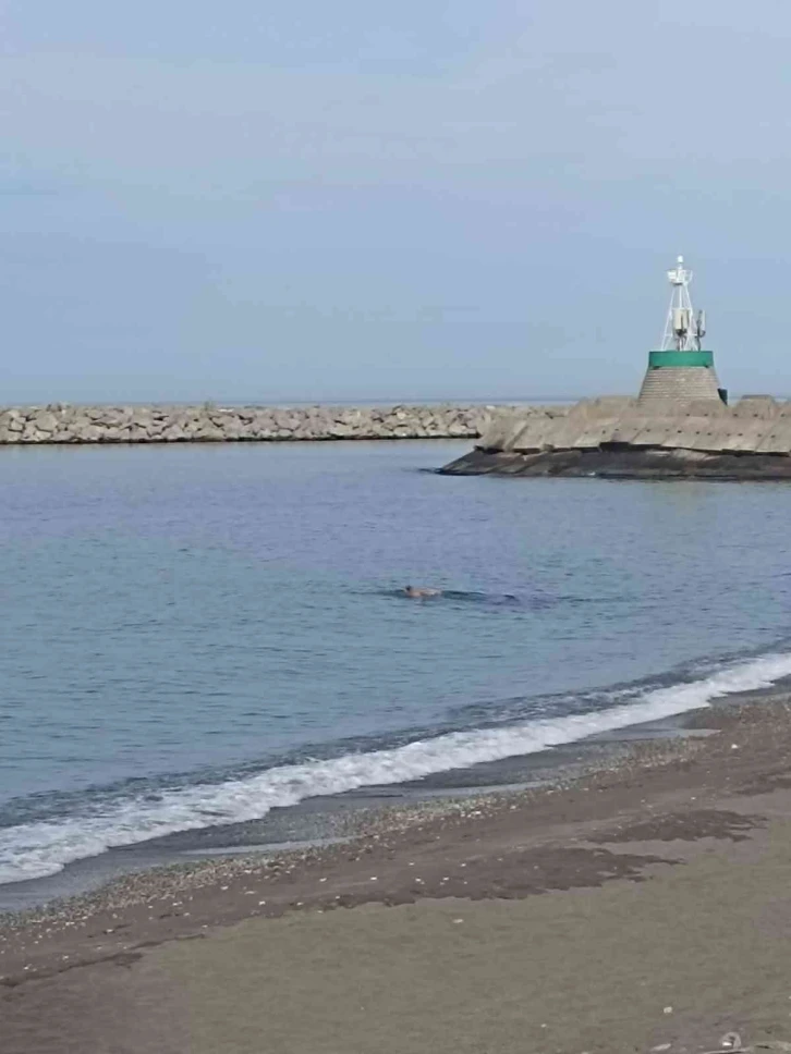 Hava sıcaklığı 20 dereceye yükseldi, vatandaşlar denize girdi
