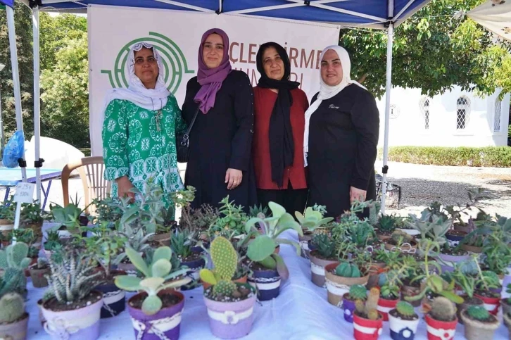 Hem tohumlar hem kadınlar güçleniyor
