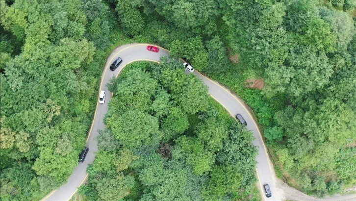 Hıdırnebi Yayla yolunda sise sarı çizgili önlem
