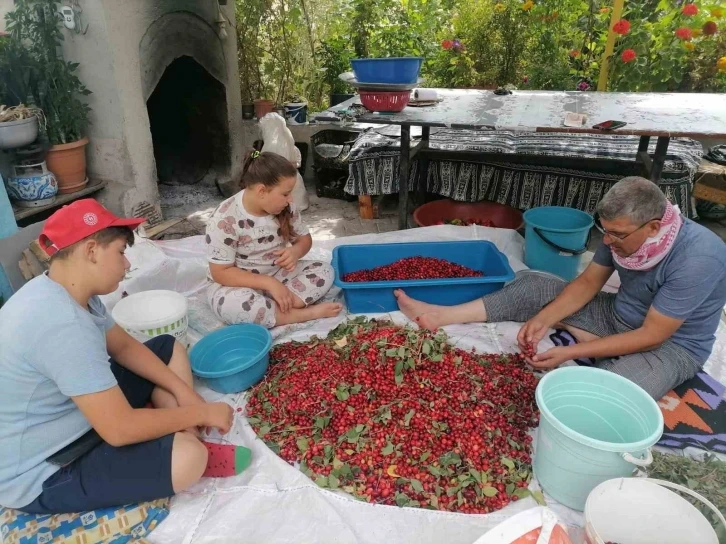 Hisarcık’ta kızılcık üretimi düştü, fiyatlar ikiye katlandı
