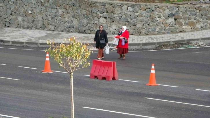 Hızlı seyreden araçlara rağmen yolun karşısına geçmeye çalışıyorlar
