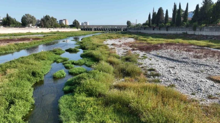 Hızlı tren köprüsü inşaatı nedeniyle DSİ, Seyhan Nehri yatağına su veremiyor
