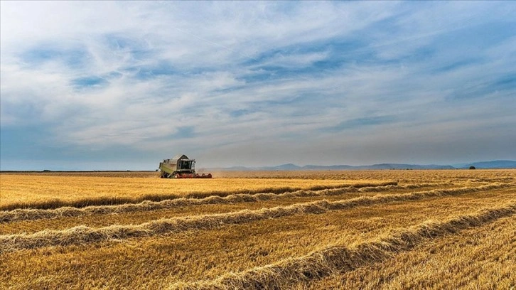 Hollanda'da hükümet ile çiftçiler arasındaki görüşmelerde anlaşma sağlanamadı