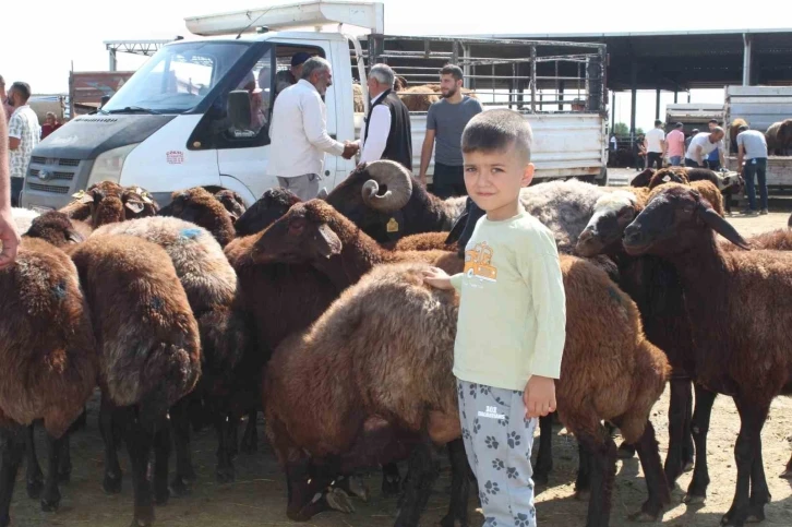 Iğdır’da Kurban Bayramı’na saatler kala kurbanlık satışı devam ediyor
