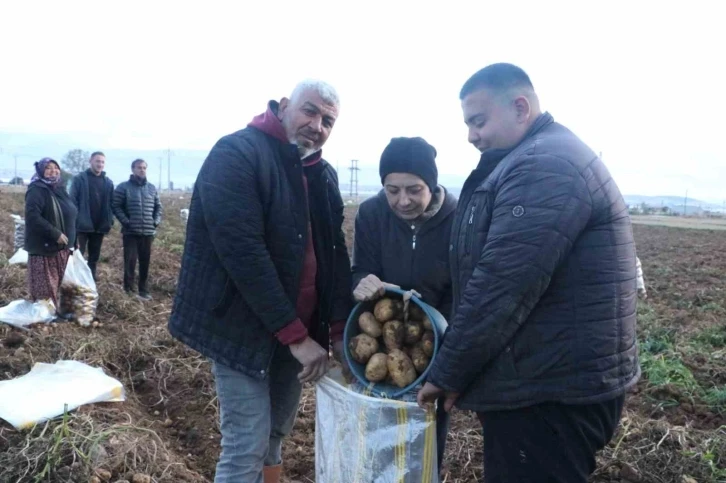 İkinci dönem ekimi yapılan patateste hasat döneminin sonuna gelindi
