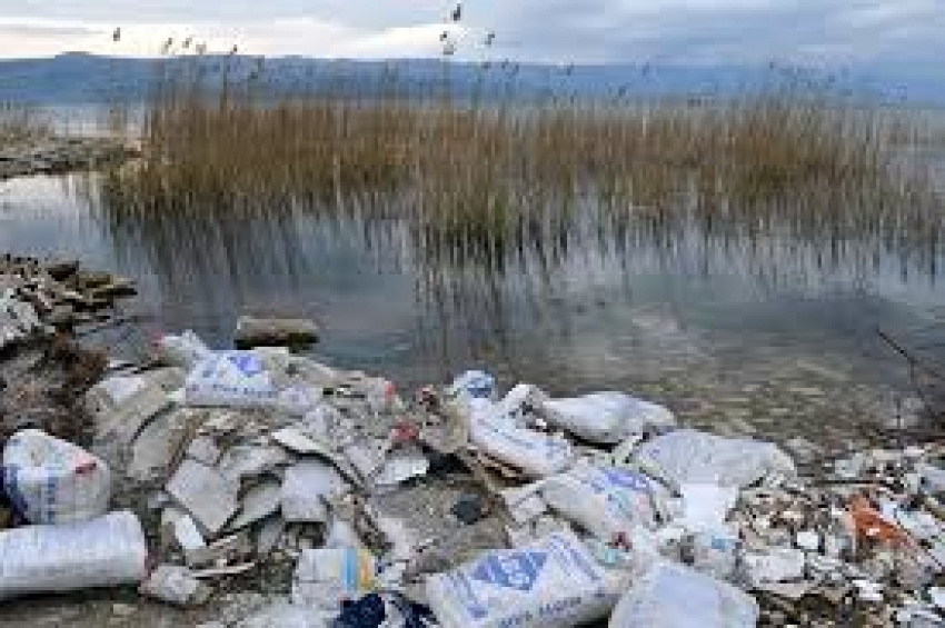 İznik Gölü'ndeki kirlilik Meclise taşındı