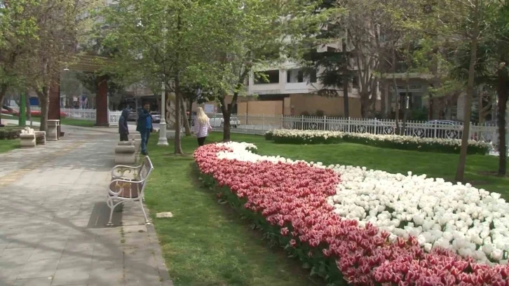 İstanbul’da lale şöleni: 70 çeşit lale, 2 milyon soğan dikildi
