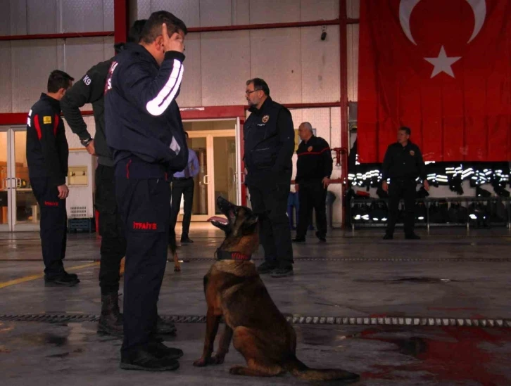 İtfaiye erinin eğittiği arama kurtarma köpekleri 18 kişinin hayatına dokundu
