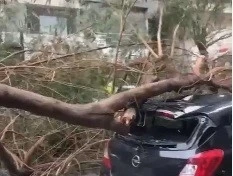 İzmir’de fırtına hayatı olumsuz etkiledi
