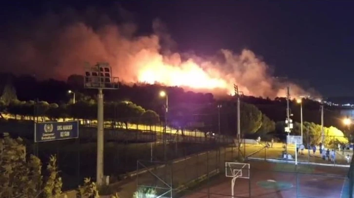 İzmir’de orman yangını

