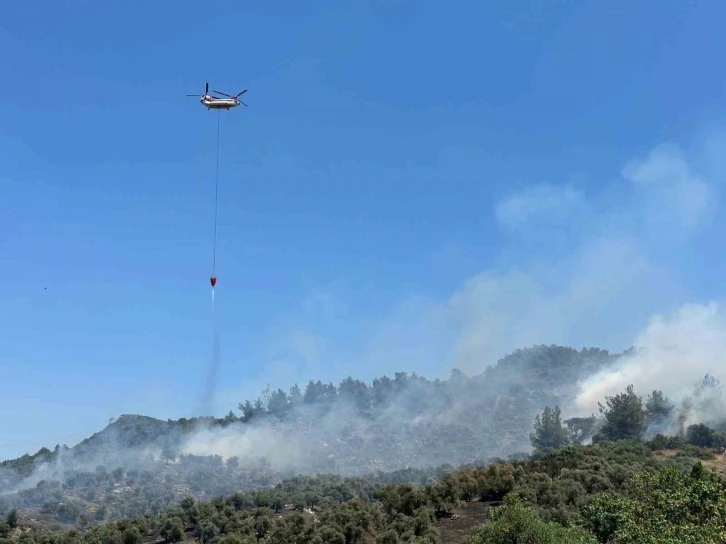 İzmir’de zeytinlikte çıkan yangına havadan ve karadan müdahale
