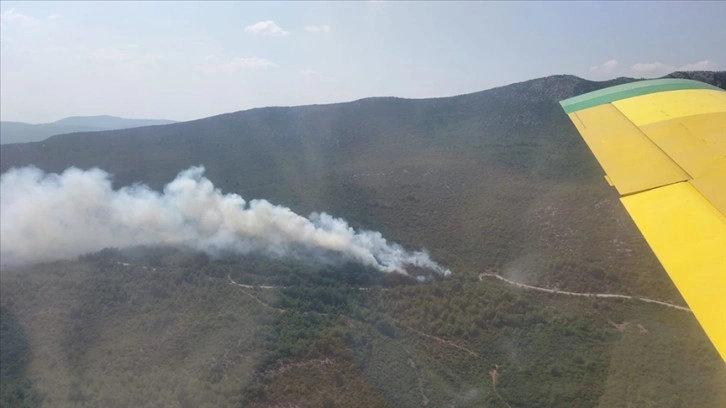 İzmir'de çıkan orman yangını kontrol altına alındı