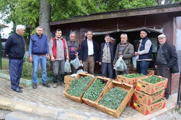 İzmit Belediyesi köylerde fide dağıtımına başladı
