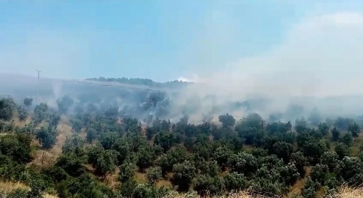 İznik’te makilik alanda çıkan yangın söndürüldü