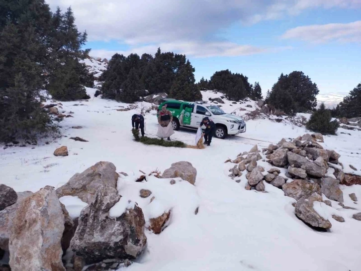 Jandarma çevre ve doğa koruma timleri yaban hayvanlarını unutmadı
