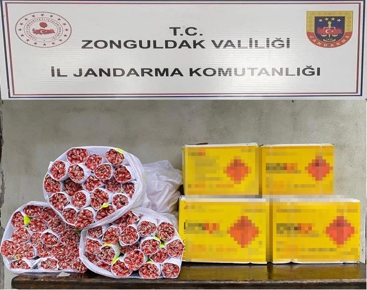 Jandarma dinamit ve fünye ele geçirdi
