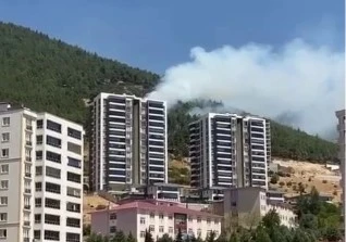 Kahramanmaraş’ta orman yangını