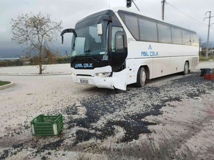 Kamyonet ile servis otobüsü çarpıştı, 1,5 ton zeytin yola saçıldı