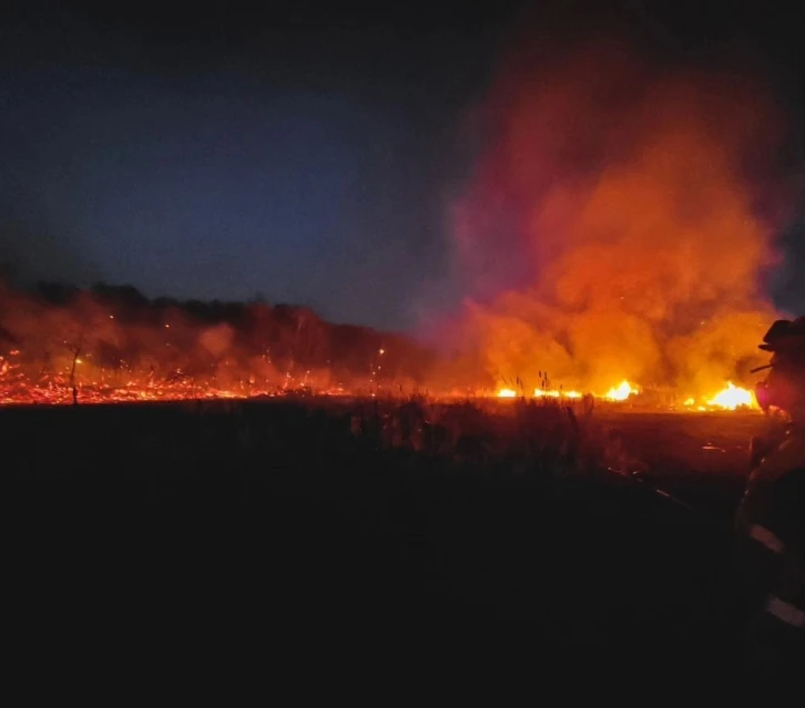 Kanada’da orman yangınları 110 farklı noktada devam ediyor
