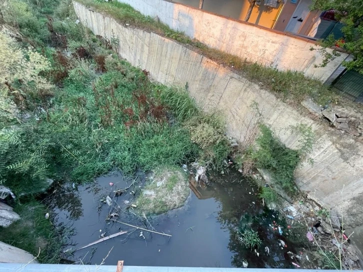 Kapaklı’nın göbeğinde yılan yuvası
