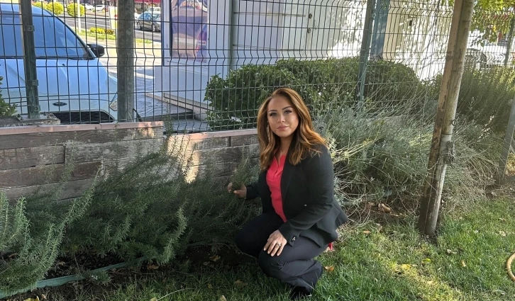 Kapari yağı ciltteki lekeleri gidermeye ve romatizmaya bire bir
