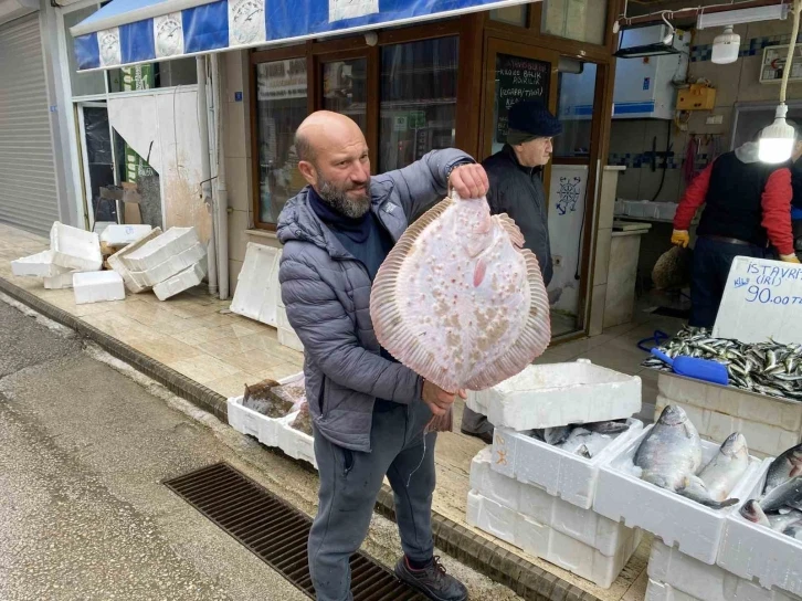 Karadeniz’de avlanan 8 kiloluk kalkan balığı 5 bin liraya satıldı
