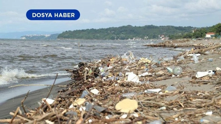 Karadeniz'deki canlı yaşamı kirlilik, avcılık ve yabancı türlerin baskısı altında