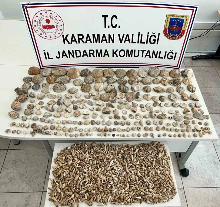 Karaman’da bin 780 adet bitki ve hayvan fosili ele geçirildi
