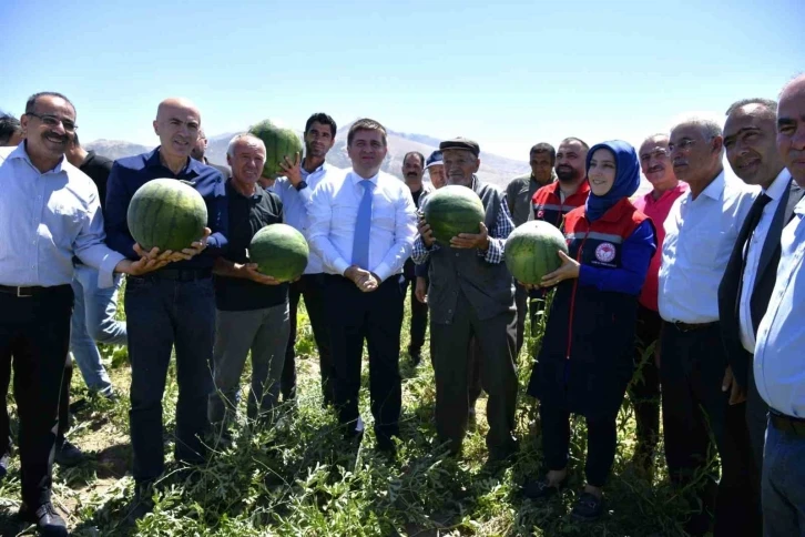 Karaman’da karpuz hasadı başladı
