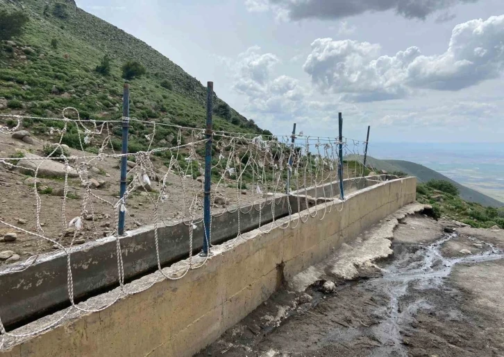 Karaman’da yılkı atlarını yakalamaya çalışan 2 kişi yakaladı
