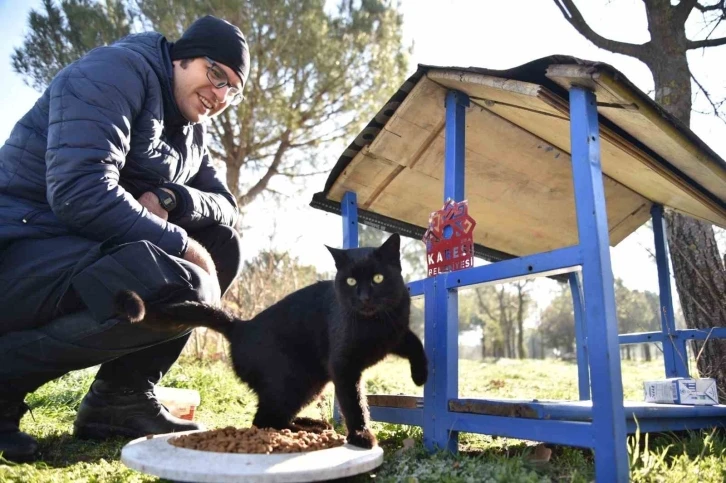 Karesi’de sokak hayvanları kış aylarında yalnız değil
