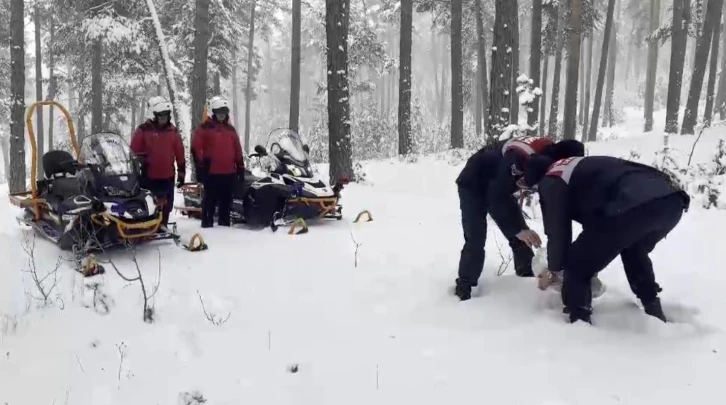 Kars’ta jandarma yaban hayvanlarına yiyecek bıraktı
