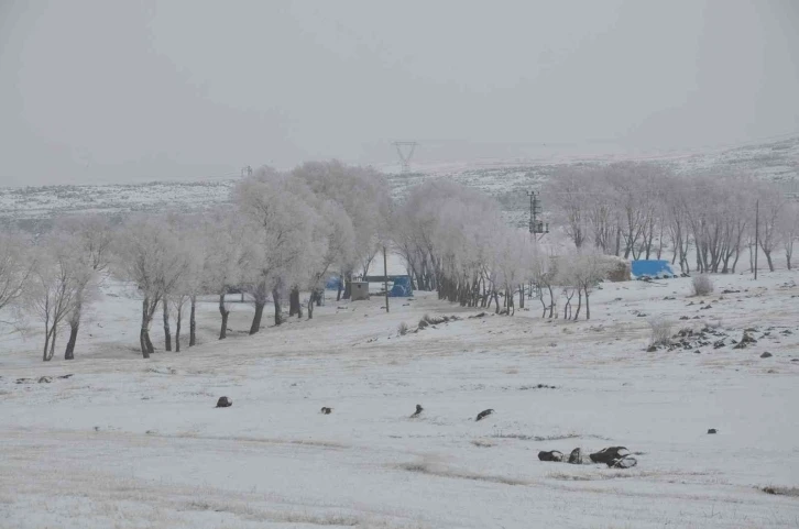 Kars’ta Lavaşın Gölü buz tuttu
