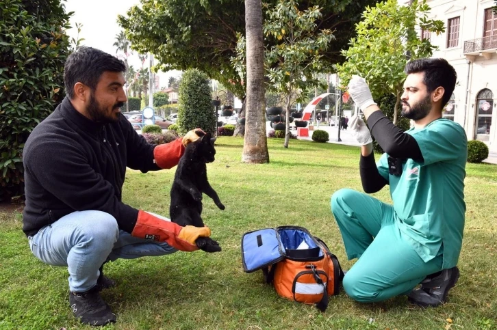 Kaşlı Bakımevi binlerce "Can Dostun" yaşamına dokundu
