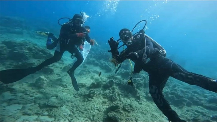 Kaş'ta deniz dibi temizliği yapıldı