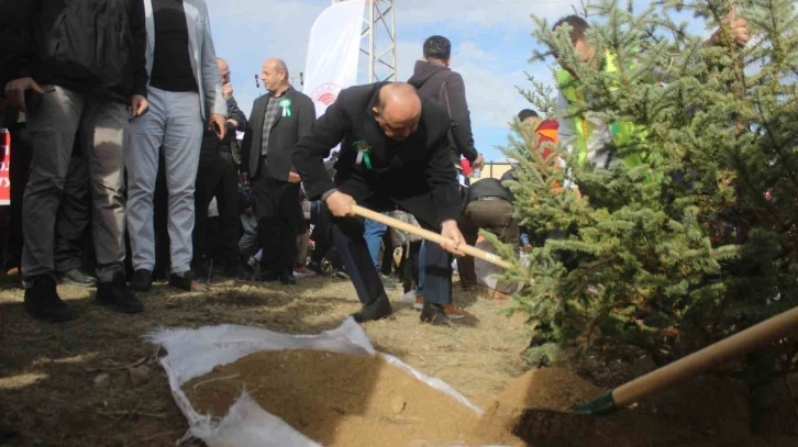 Kastamonu’da 25 bin fidan toprakla buluşturuldu
