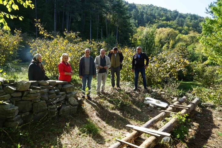 Kastamonu’da ayılar ilçeyi mesken tuttu
