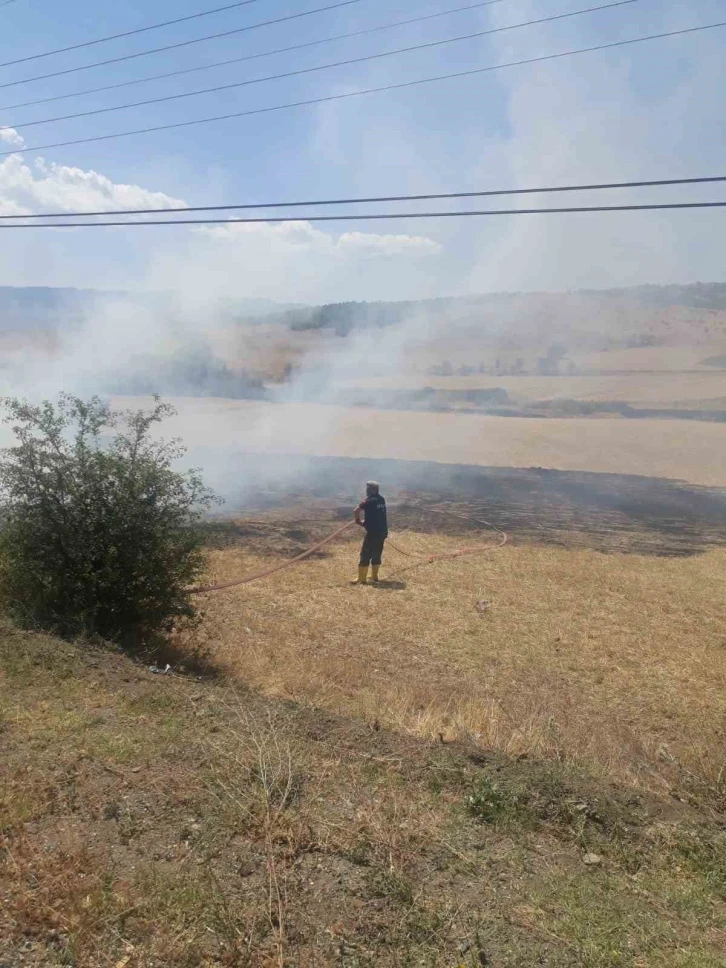 Kastamonu’da çıkan arazi yangınında 2 dekar alan zarar gördü
