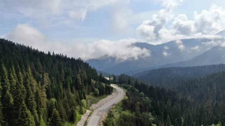 Kastamonu’da ormanlık alanlara girişler yasaklandı
