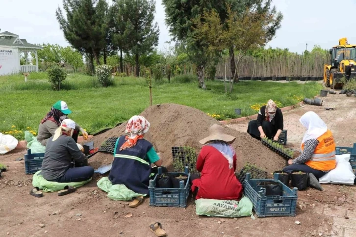 Kayapınar Belediyesi 1 milyon 500 bin bitki üretmeyi hedefliyor
