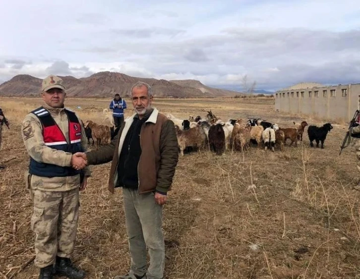 Kaybolan keçi sürüsü dron ile bulundu
